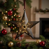 položky Vánoční věšák Star Metal Star Black H19cm