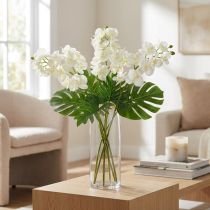 položky Orchid krémově-bílá L57cm 6 ks