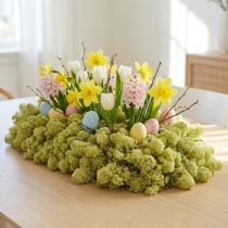 položky Dekorativní mechový zelený kiwi mech pro řemesla, sušený, barvený 500g