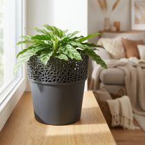 položky Sázecí plastový květináč antracit Ø14,5cm V15,5cm