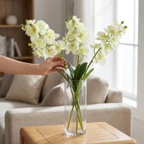 položky Orchidej světle zelená 56cm 6ks