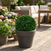 položky Buxusová koule zelená Ø25cm