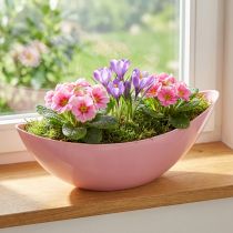 položky Rostlinná loď plastová miska na květiny růžová 28×9×9cm 3ks