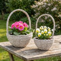položky Rostlinný košík, sada 2 kusů, sláma, přírodní, bílá, Ø23/28, shabby chic