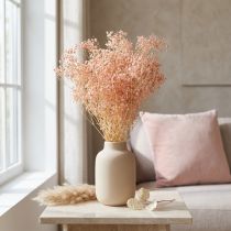 položky Gypsophila Dekorace Orange Sušené trávy Broskev 65-70cm 100g