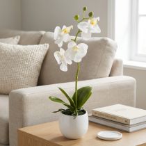 položky Umělé květiny bílé orchideje v květináči Phalaenopsis V33cm