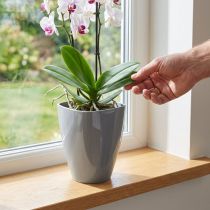 položky Květináč na orchidej lesklý Ø12,5cm šedý 1 ks