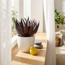 položky Umělá rostlina Aloe Vera v květináči Dekorativní rostlina zelená H20cm