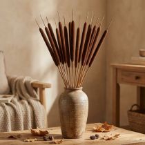 položky Reed Cob Mix Hnědá 100 ks