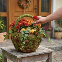položky Rustikální květináč s mechem a šiškami - dekorativní koš s rukojetí Ø32cm V42cm - všestranná dekorace do zahrady a domu