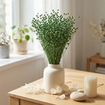 položky Sušená lněná tráva, zelená, 50-55 cm, dekorativní DIY