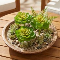 položky Echeveria Umělé sukulenty zelené Ø7cm 6 ks