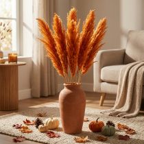 položky Sušená tráva, rákosník, dekorativní tráva, oranžová, podzimní dekorace, 70 cm, 10 kusů