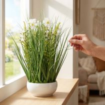 položky Dekorativní tráva s květy Cosmea v misce H45cm