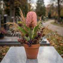položky Umělá květina Banksia růžová podzimní dekorace památeční floristika 64cm
