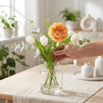 položky Ranunculus losos, výška 45 cm
