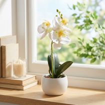 položky Umělé orchideje v květináči bílé mini orchideje Ø7cm V22cm