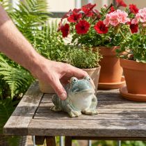 položky Figurka žáby, letní dekorace z keramiky do domu a na balkon, 12 cm