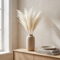 položky Sušené květiny, stříbrná tráva. Elegantní přírodní dekorace do domácnosti i kanceláře. 70 cm, 10 kusů.