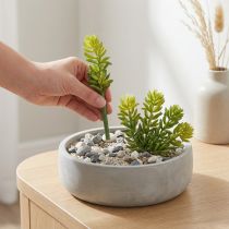 položky Umělá sukulentní květina pro nenáročný design obytných a kancelářských prostor, 15 cm, 6 kusů