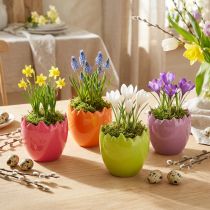 položky Mini květináč Easter Egg Barevná vajíčka Vázy pastelové 8,5cm 4 ks
