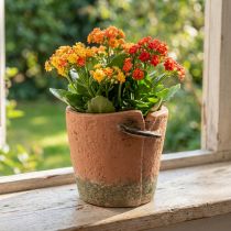 položky Betonový květináč květináč terakotový květináč Ø13cm V13cm
