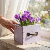 položky Zásuvka Shabby Chic Deco Wood Purple Spring Deco 12,5×12,5×10cm