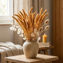 položky Sušené květiny Setaria Pumila Orange, štětinovité proso dekorativní zrno 72cm 200g