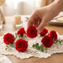 položky Mini růže Infinity Roses Real Flowers, červené, Ø3cm, 16 ks