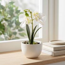 položky Mini orchidej umělé bílé orchideje v květináči 15cm