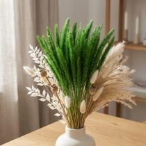 položky Zeleno štětinové proso Setaria viridis suchá tráva 52cm 28g