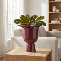 položky Květináč, ve tvaru misky, moderní styl, dekorativní do každé domácnosti i kanceláře, 23 cm