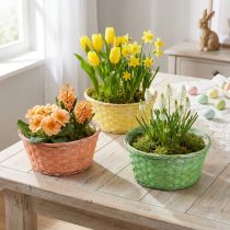 položky Košík na rostliny kulatý Ø25cm oranžová, žlutá, zelená 6 ks