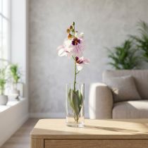 položky Umělá orchidej Phalaenopsis, bílá a fialová, 43 cm