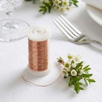 položky Měděný drát z myrty 0,30 mm 100 g, květinářství