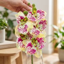 položky Umělá větev orchideje Phaelaenopsis Green Pink H49cm