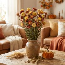 položky Slámový květ Žlutý, Červený sušený Helichrysum sušený květ 50cm 60g