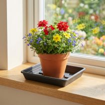 položky Podložka Lara čtvercová 29cm x 29cm antracitová 1 ks