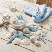 položky Dekorace ulity šnečí ulity modré přírodní 3–5 cm 150 g