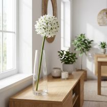 položky Dekorativní květina Allium, umělá kulička pórek, okrasná cibule bílá Ø20cm L72cm