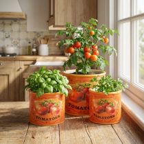 položky Sada květináčů na rajčata, keramické dekorativní květináče do kuchyně a retro dekorace, 14 cm, sada 3 kusů