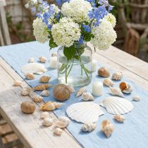 položky Dekorativní šnečí ulity Mořští šneci příroda Námořní dekorace 350g