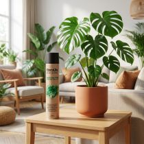 položky Oasis Floralife Leaf Shine Leaf Shine sprej 750 ml