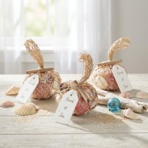 položky Směs námořních dekoračních mušlí v síťce, barevná, 3,5-6 cm, 300 g × 3 kusy
