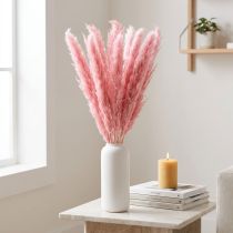 položky Suchá tráva růžová dekorativní rákosová tráva pampas 70 cm 10 ks