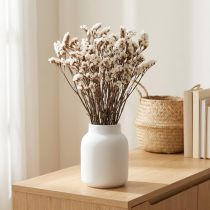 položky Sušené květy bílé mořské levandule (Limonium), 60 cm, 35 g