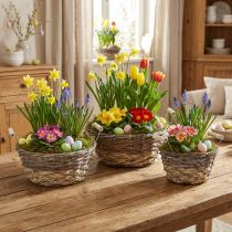 položky Sada bílých květinových košů ve stylu Shabby Chic, velikonoční dekorace, přírodní koš s uchy Ø28/24/19 cm, dekorativní košíky prané
