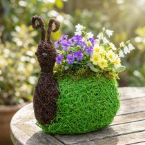 položky Květináč Snail Vine Natural, Green 21x14cm H26cm