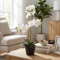 položky Umělá orchidej v květináči pro harmonickou atmosféru, bílá, 60 cm