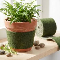 položky Plstěná stuha Franzi pot stuha vlněná plsť tmavě zelená 15cm 4m